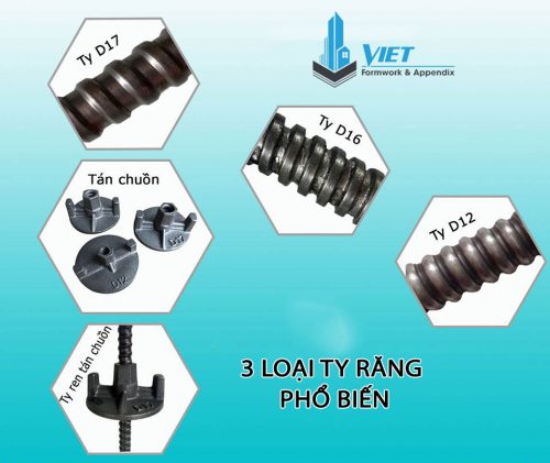 3 loại ty răng phổ biến